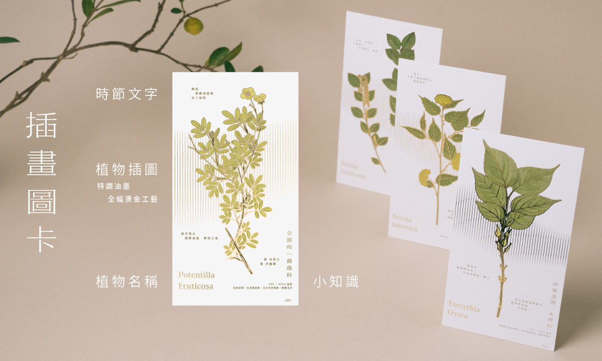 葉葉 植物 插畫圖卡