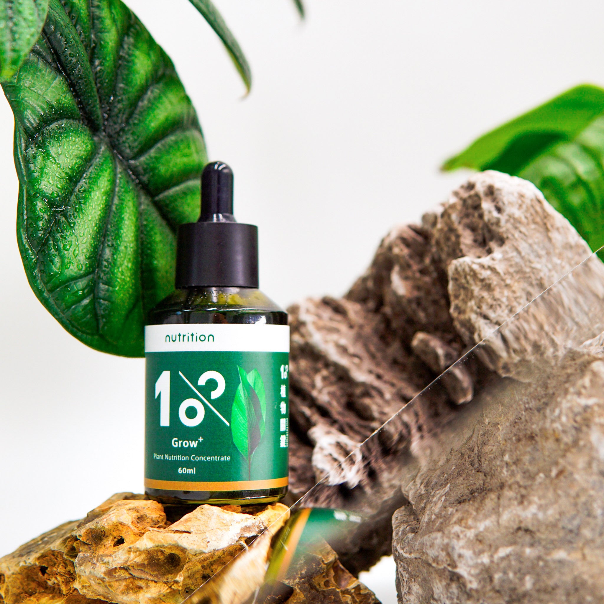 1%植物營養精華 60 ml