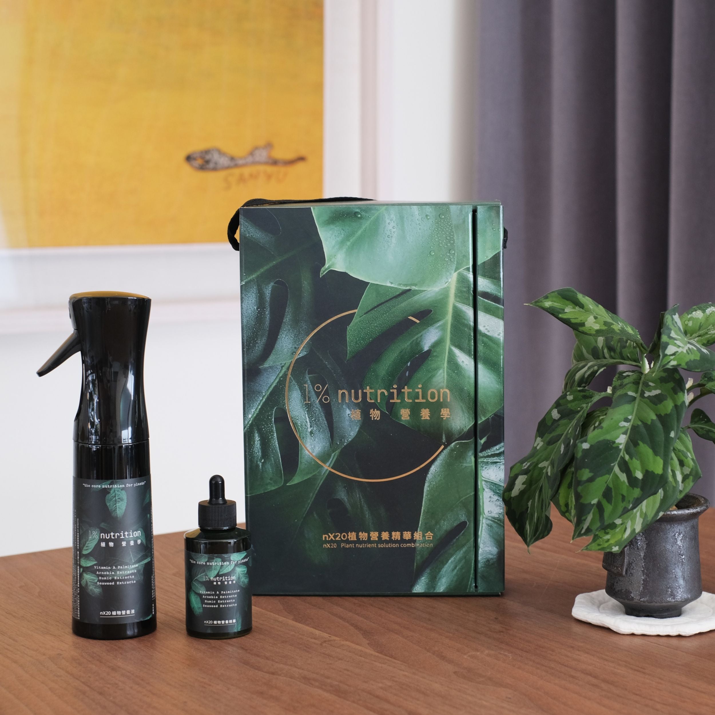 雙11 植感禮物首選｜聖誕植感禮盒 Plus