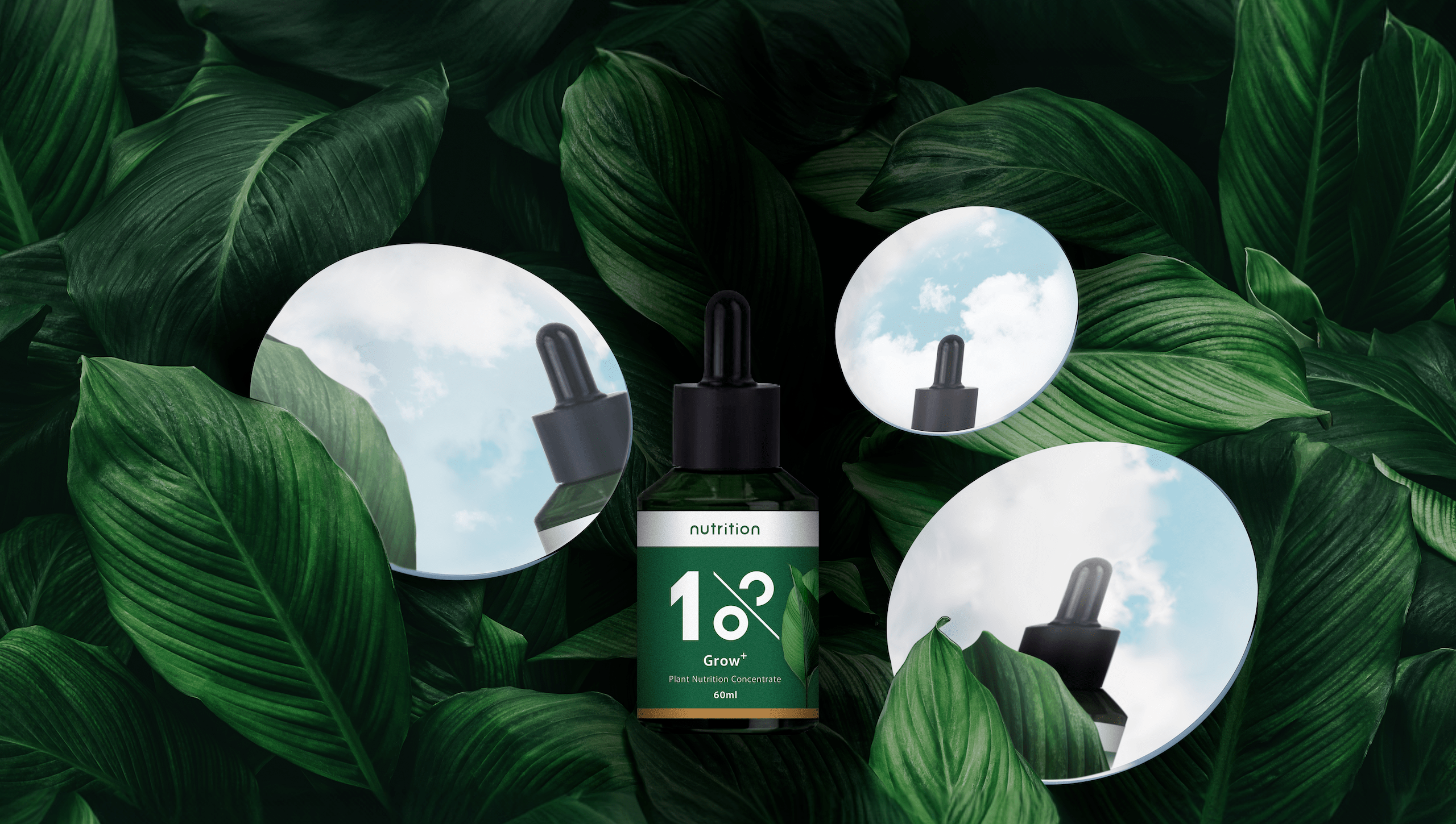 1%植物營養精華