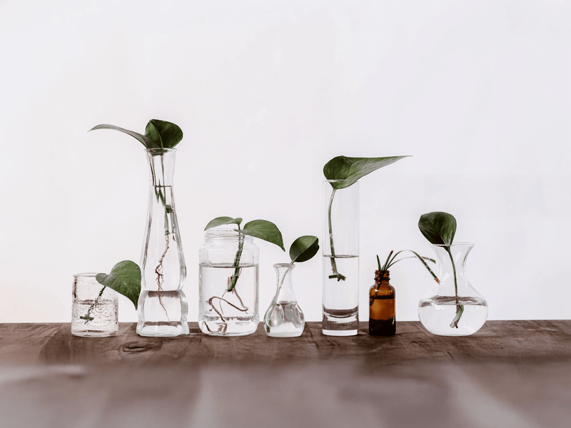 水耕 popup image