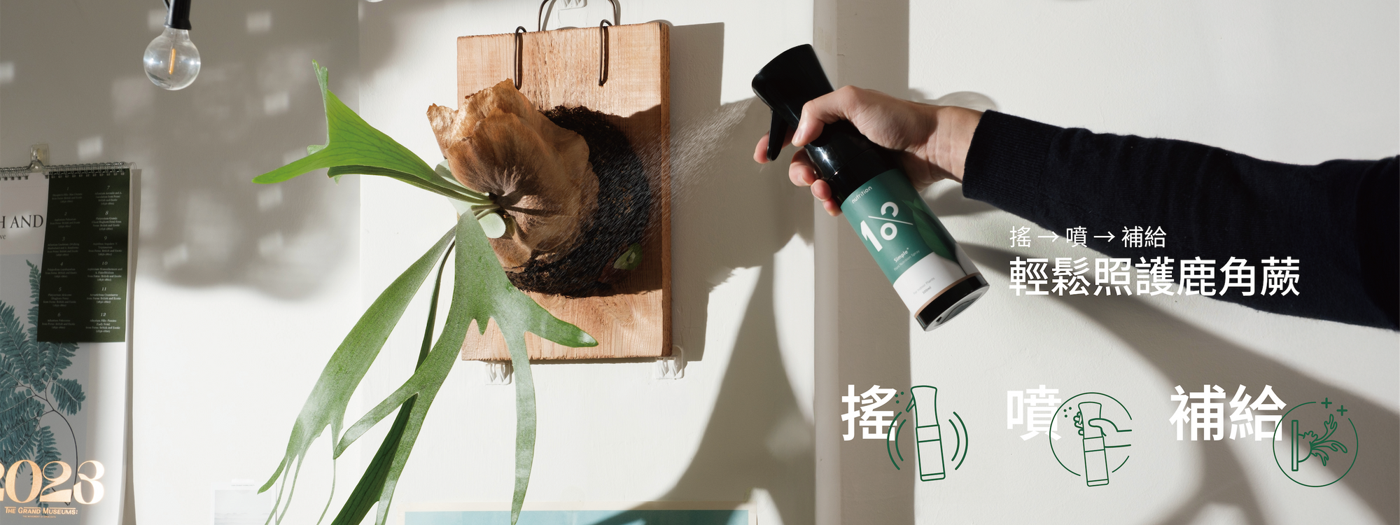 OnePercent鹿角蕨必備，輕鬆成為綠手指，從內到外照護植物成長