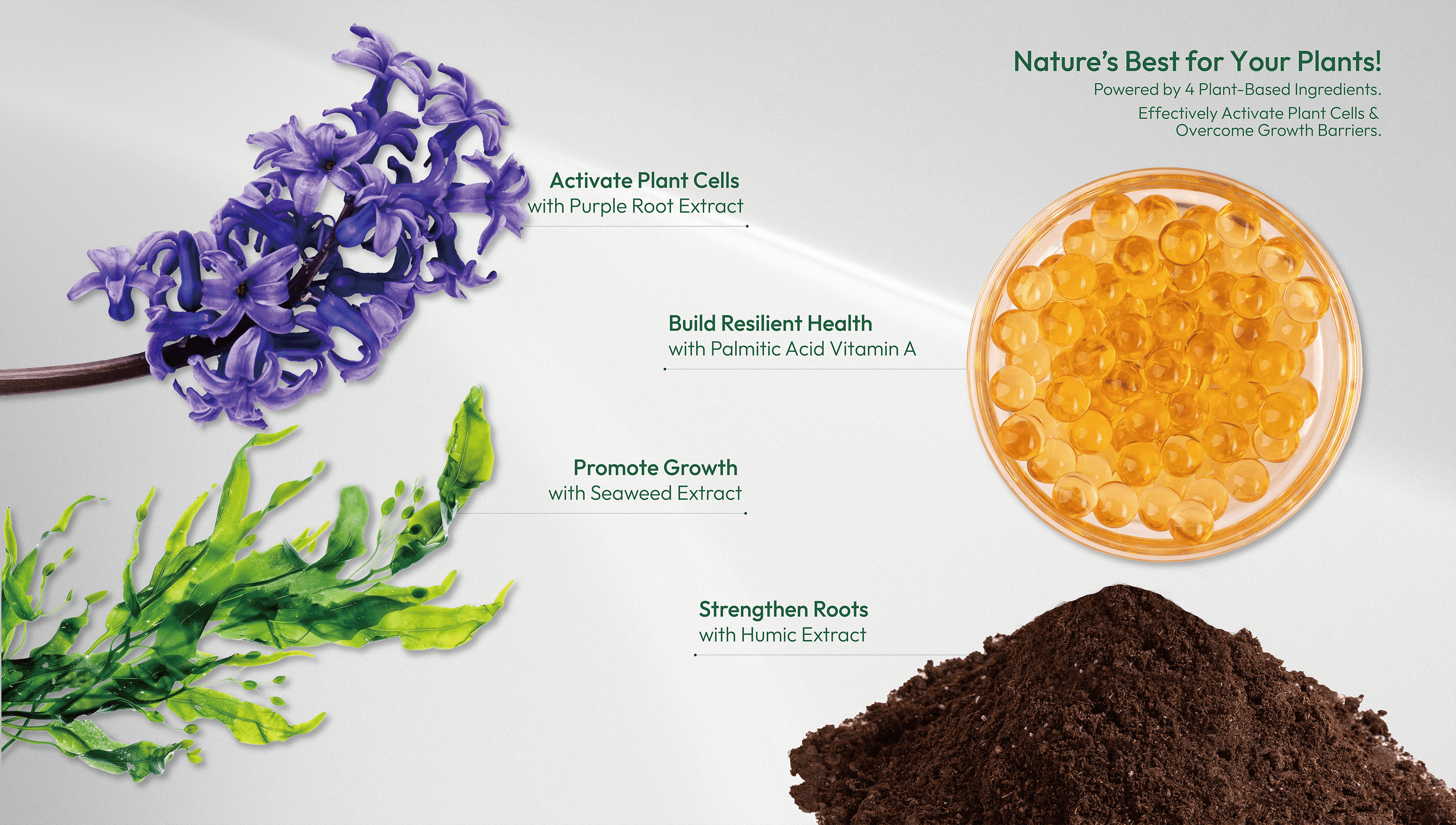 Nature's Best for Your Plants! Powered by 4 Plant-Based Ingredients