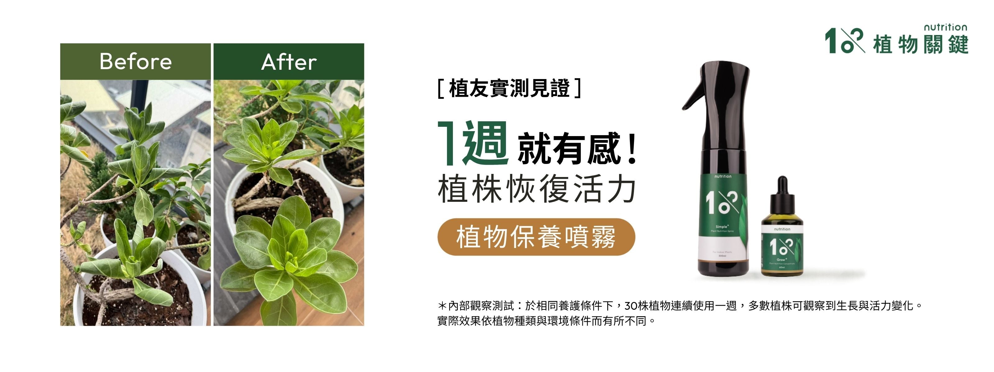 植友實測見證，使用 1% 植物保養噴霧搭配植物營養液後，植物葉片更飽滿、色澤更翠綠，新芽明顯萌發，幫助恢復植物健康活力