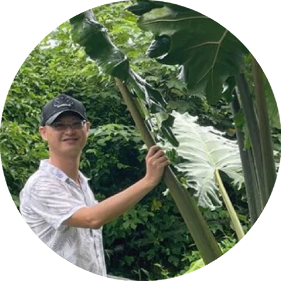 金鼎獎植物科普作家 王瑞閔 胖胖樹