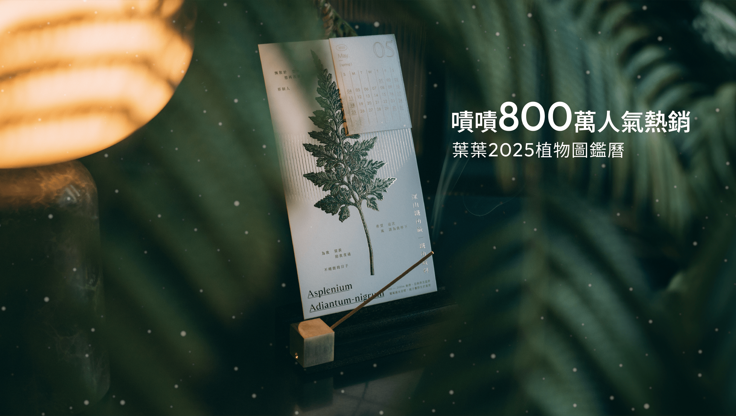 嘖嘖800萬人氣熱銷 葉葉2025植物圖鑑曆