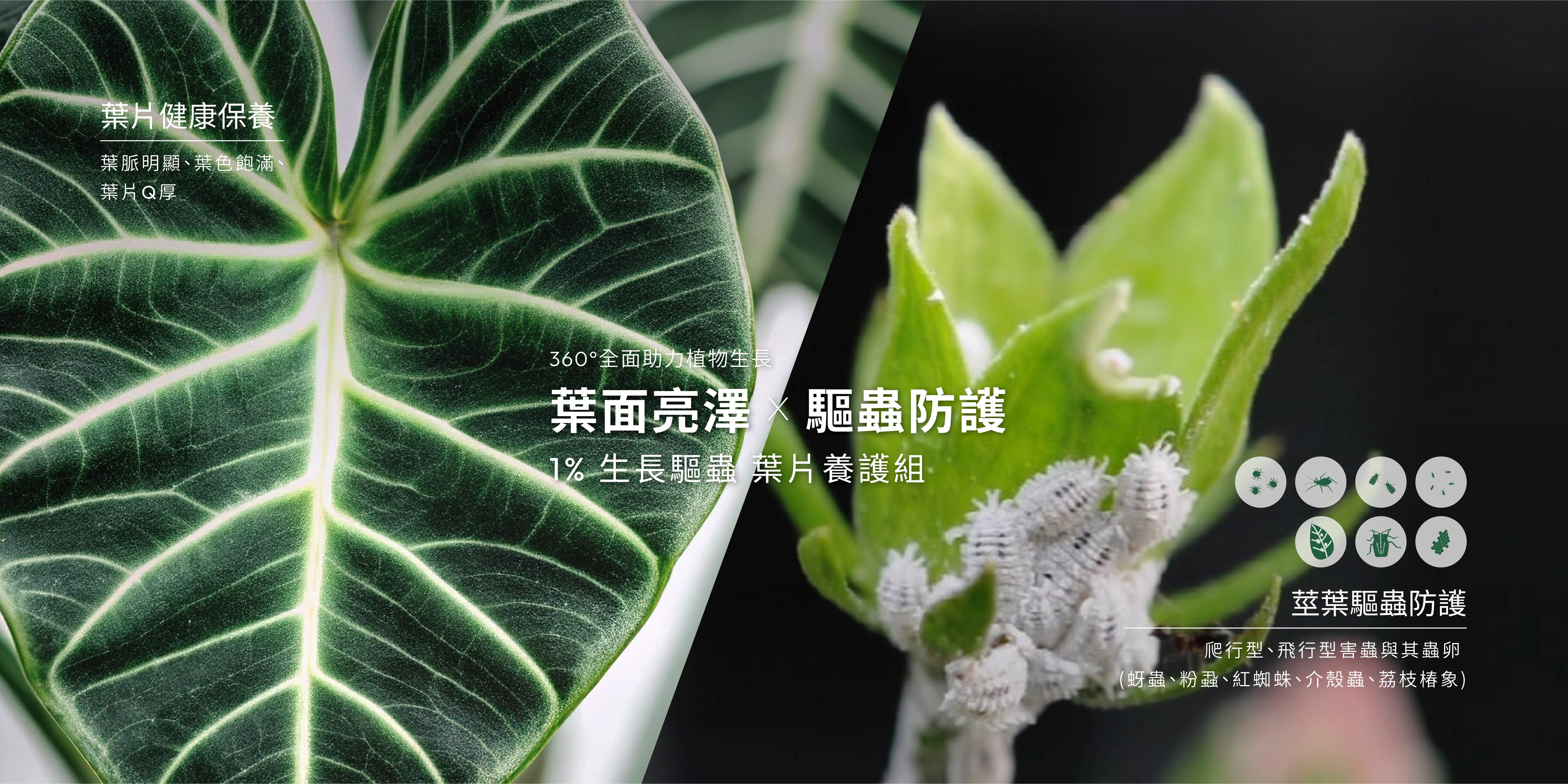 1%植物關鍵植物保養噴霧與 Protect+ 驅蟲噴霧養護組，兼顧葉面亮澤及莖葉害蟲防護