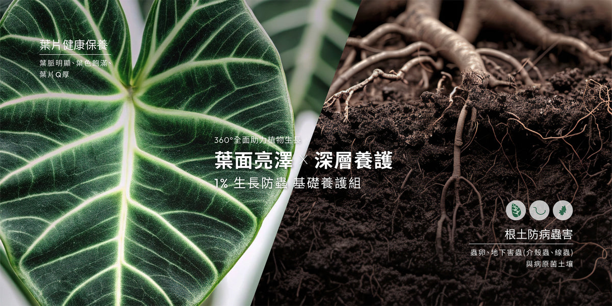 1%植物關鍵植物營養精華與 Protect+ 驅蟲噴霧養護組，幫助植物生長並提供莖葉驅蟲防護