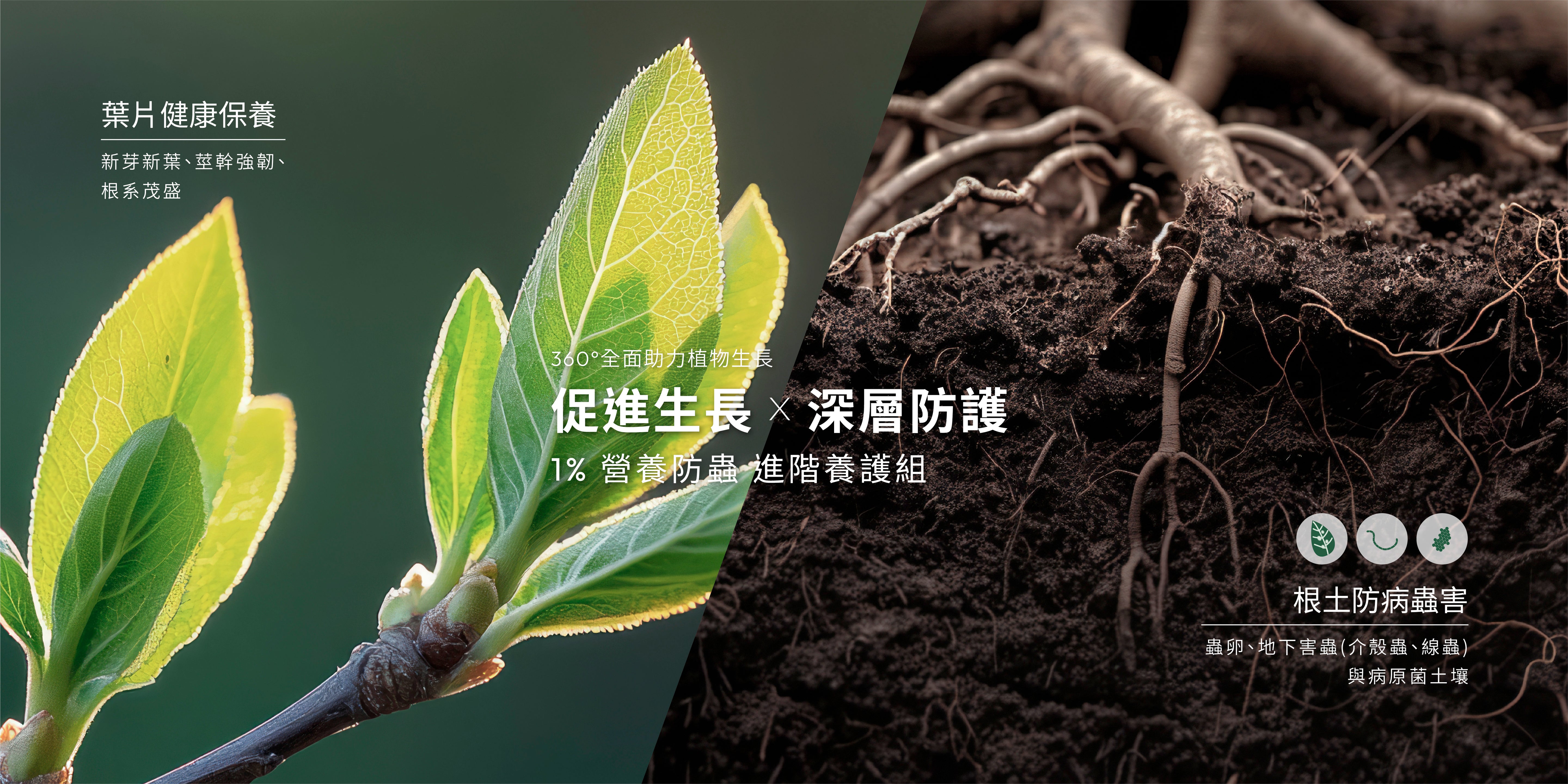 1%植物關鍵植物營養精華與 Protect+ 土壤防蟲粉養護組，補充生長養分並加強根土日常防護