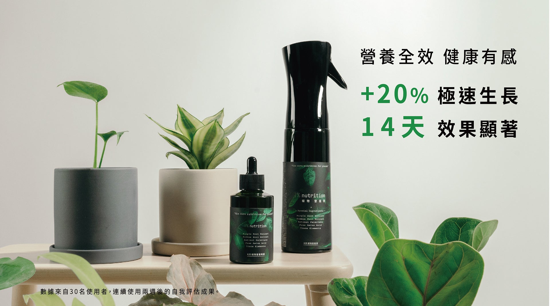 營養全效 健康有感 nX20植物營養液禮盒