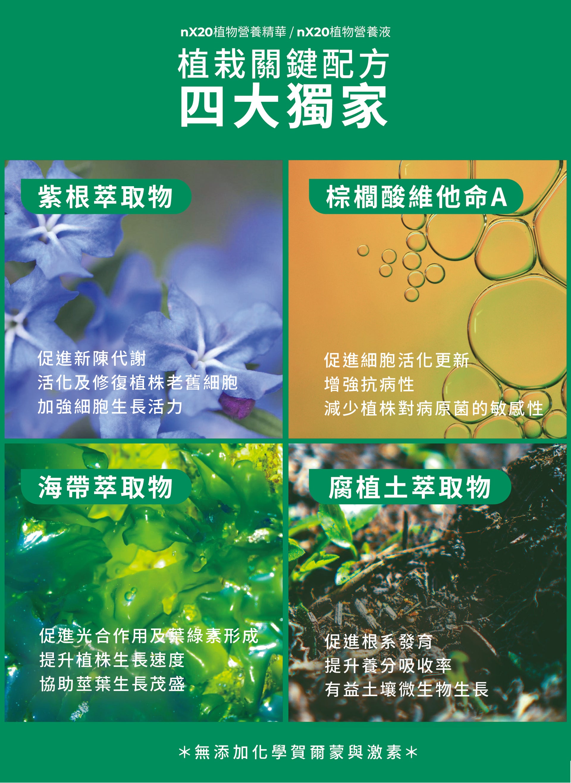 植栽關鍵配方 四大獨家
