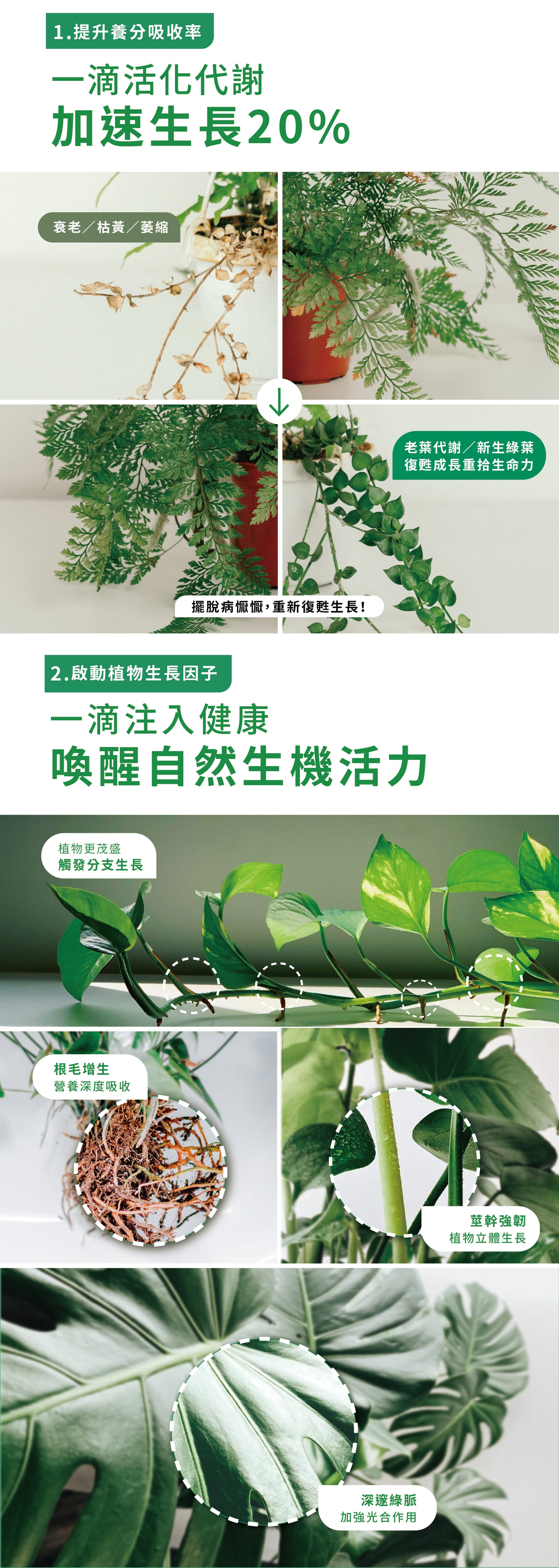 一滴活化代謝