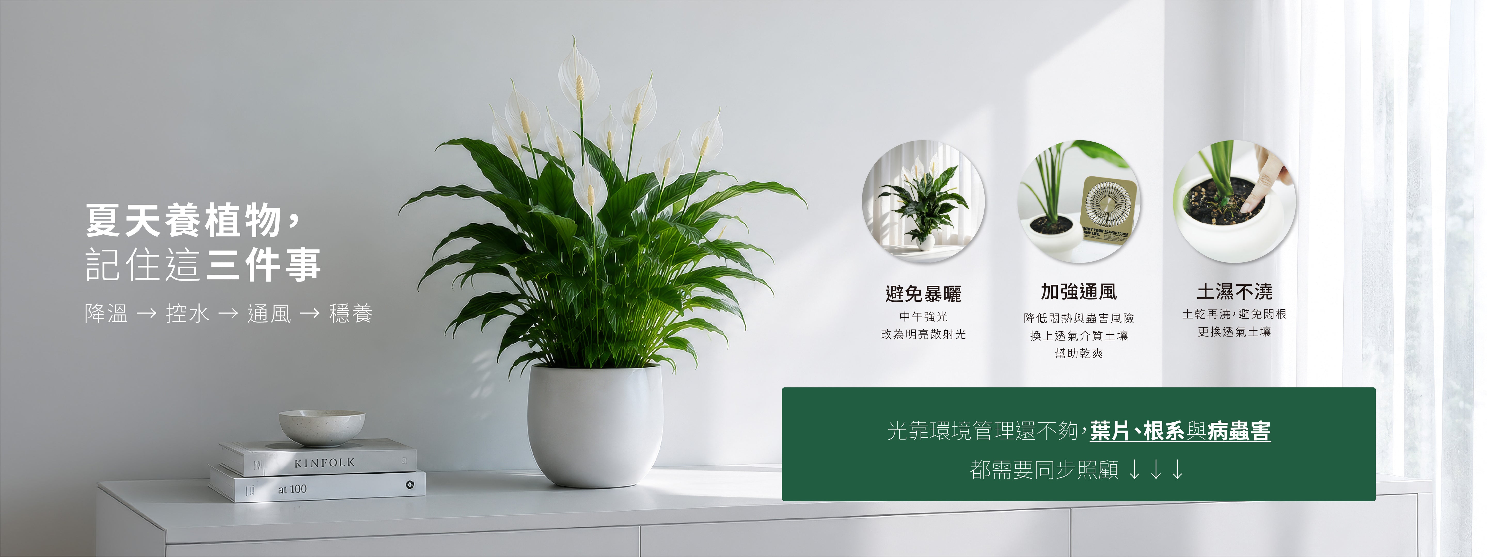 1%植物關鍵分享夏季植物照護技巧，避免曝曬、加強通風、控制土壤濕度與穩定補充植物營養，幫助植物安全度夏。