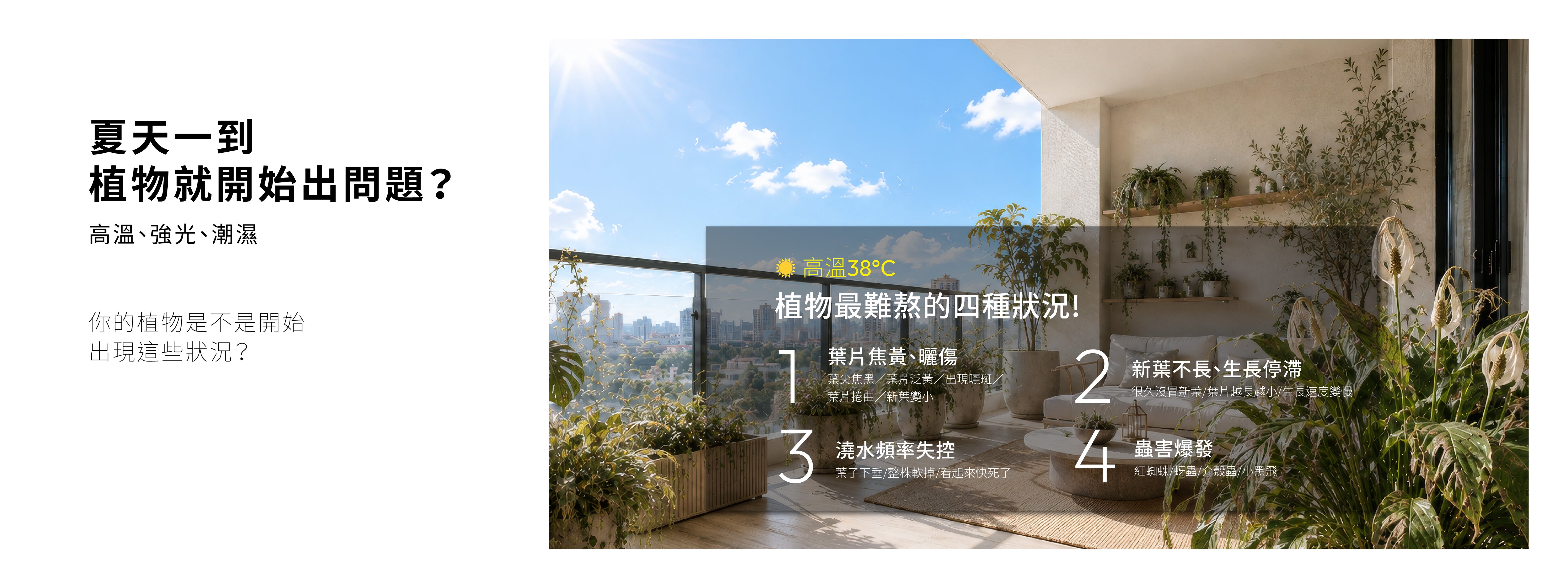 1%植物關鍵夏季植物養護指南，高溫、強光與潮濕容易造成植物黃葉、焦邊、生長停滯、澆水失控及夏季蟲害問題。