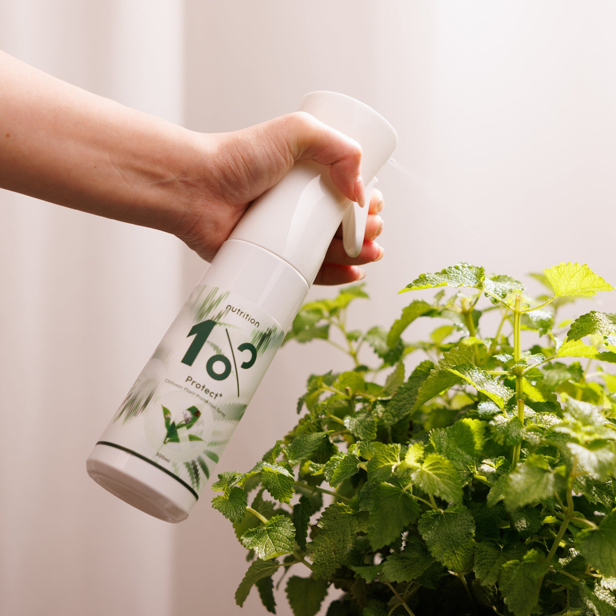 1%植物關鍵 Protect+ 甲殼素植物防護噴霧，噴灑於香草植物莖葉，提供居家植栽日常蟲害防護