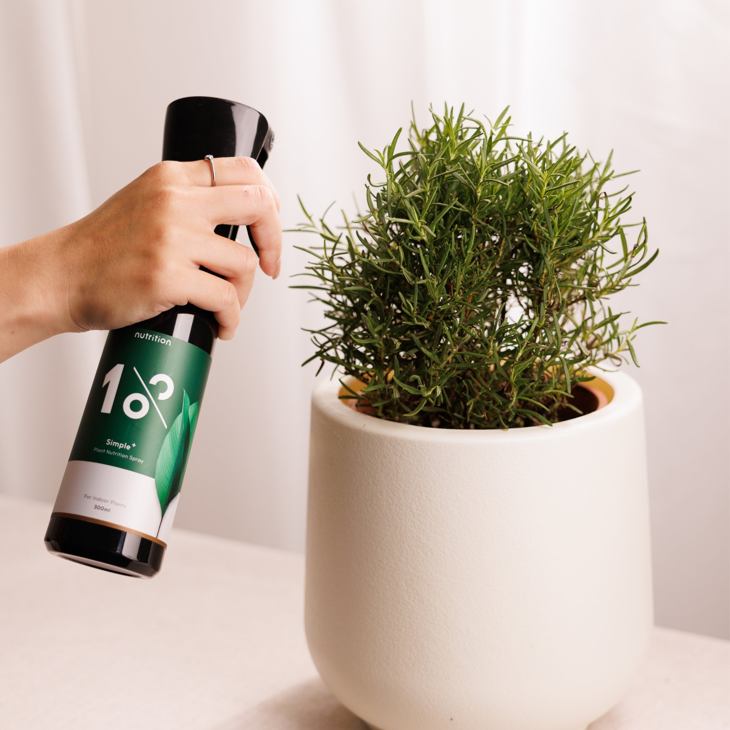 1%植物關鍵 Simple+ 植物營養噴霧使用於香草盆栽，免稀釋即可噴灑，適合居家植物日常營養照護