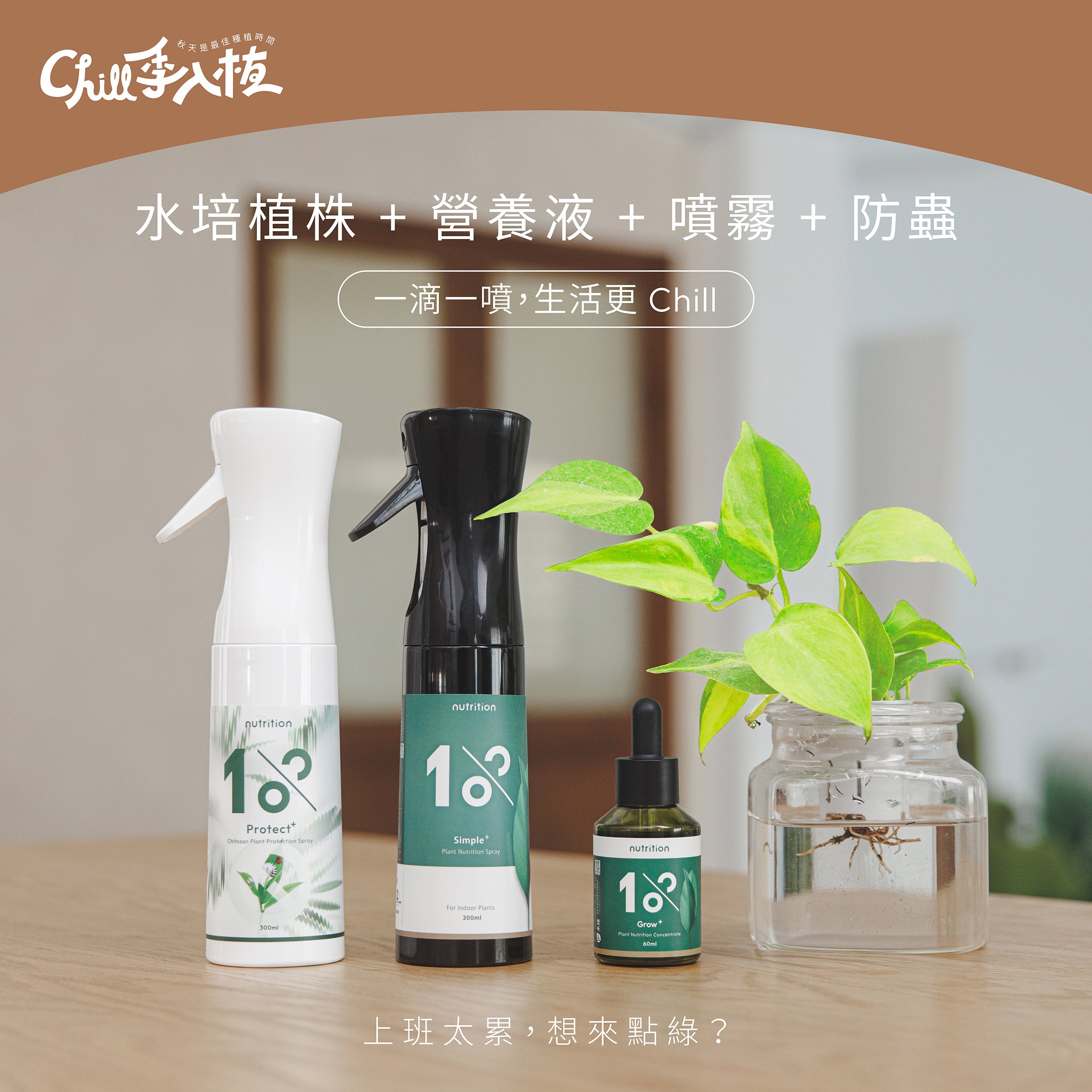 限量82折｜水培入門升級組