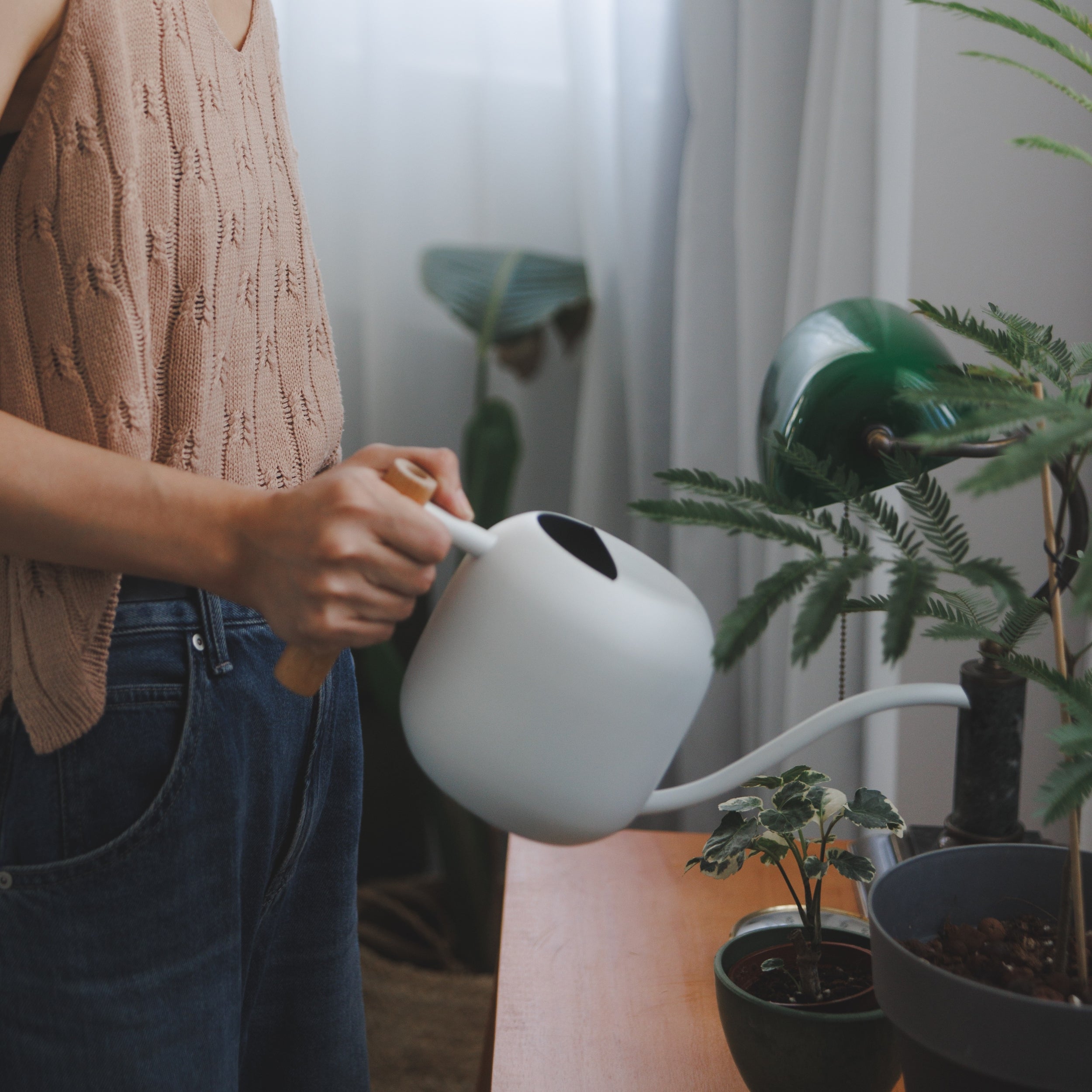 雙11 舒壓必備｜辦公室植人組