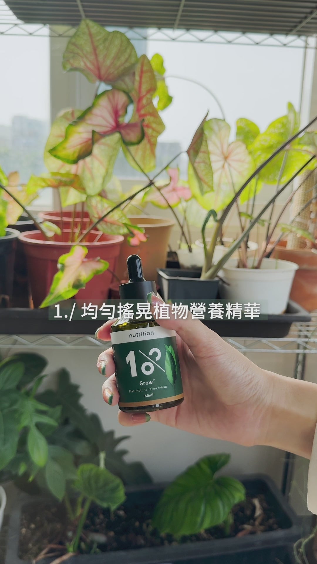 1%植物營養精華 60 ml