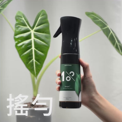 1%植物關鍵 Simple+ 植物營養噴霧使用方式，免稀釋直接噴灑植物葉片，輕鬆完成居家植物葉片日常營養照護