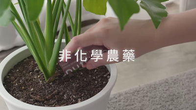 1%植物關鍵 Protect+ 非化學農藥植物照護概念，以甲殼素配方協助居家植物日常蟲害防護