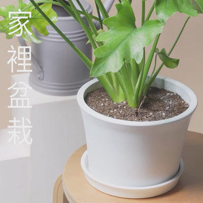 1%植物關鍵 Protect+ 植物蟲害照護方式，從莖葉到土壤加強日常防護，幫助植物健康生長