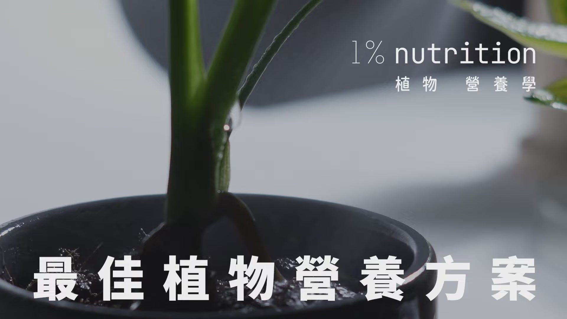 最佳植物營養方案